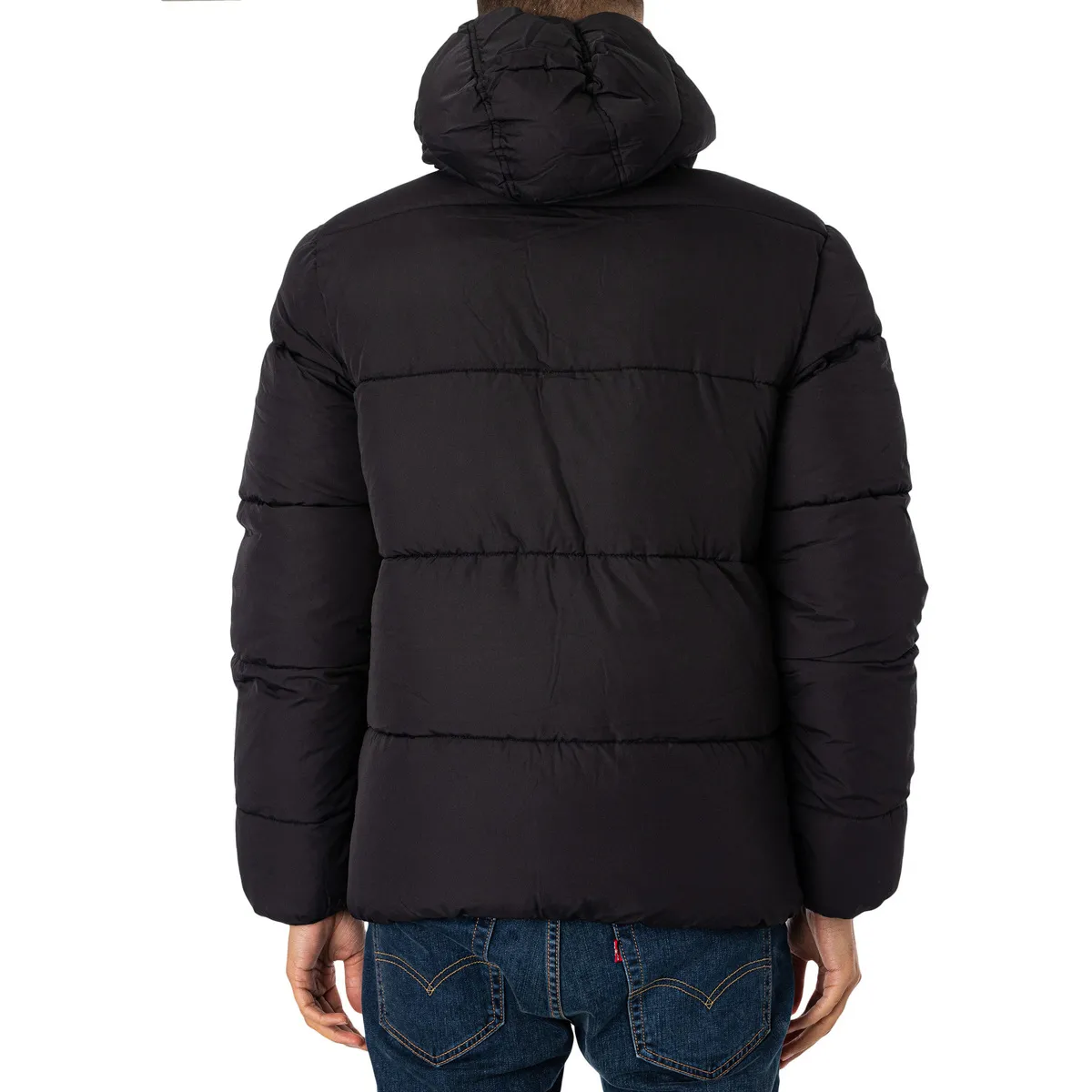 Chaqueta Acolchada Harry